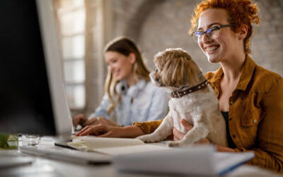 Plan Small de EasyDoc. ¿Qué incluye y a quién va dirigido?